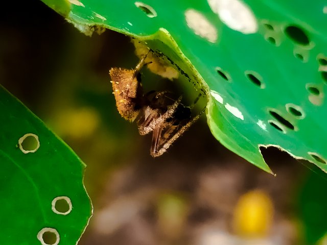 IMG20250105072126.jpg
