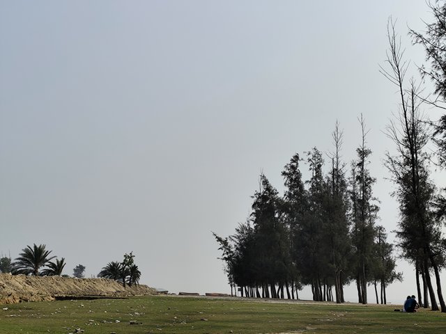 IMG_20250224_143109.jpg