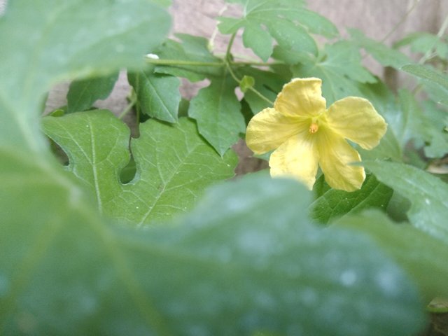 IMG_20250802_190743.jpg