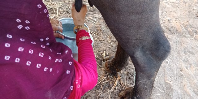 IMG20180516183525.jpg