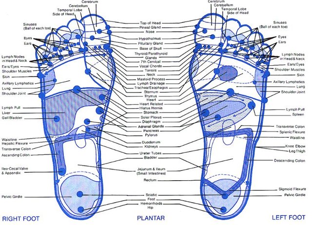 foot-reflexology-chart-08-screenshot.jpg
