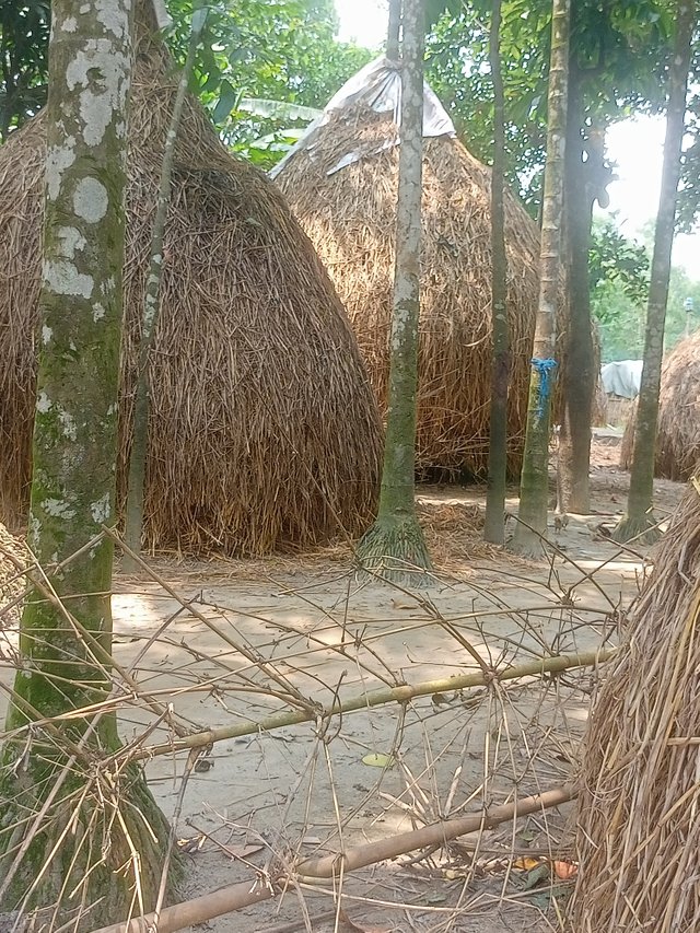 IMG20250609110719.jpg
