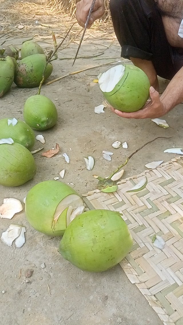 IMG20250609115615.jpg
