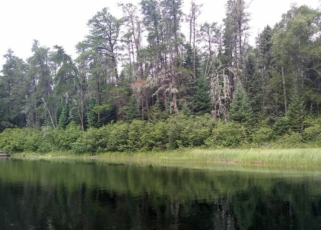 Quetico Canoe 5b.jpg