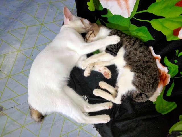 IMG20250818215940.jpg