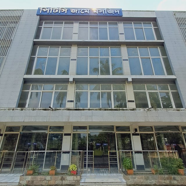 1000031684.jpg