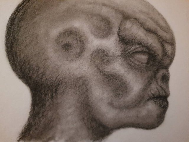 20250509_113329.jpg