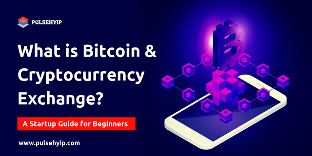 What is Bitcoin -Cryptocurrency-Exchange-startup-guide.png