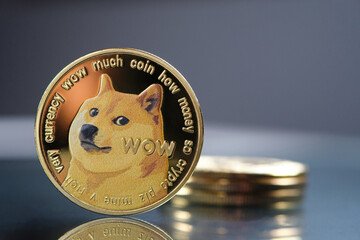 doge.avif