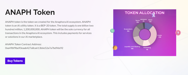 Token Allocation2.png