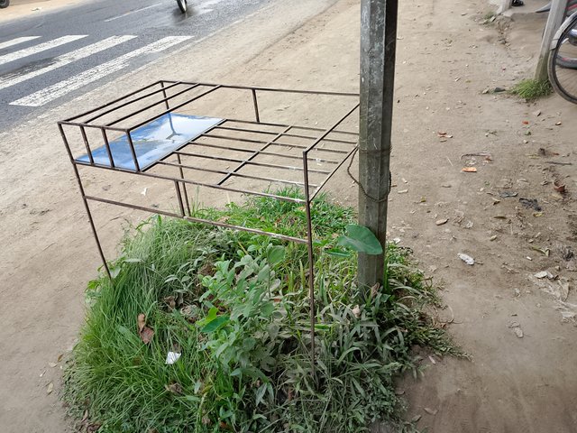 1000041927.jpg
