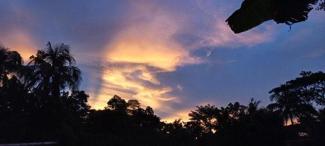 20220805_184155.jpg