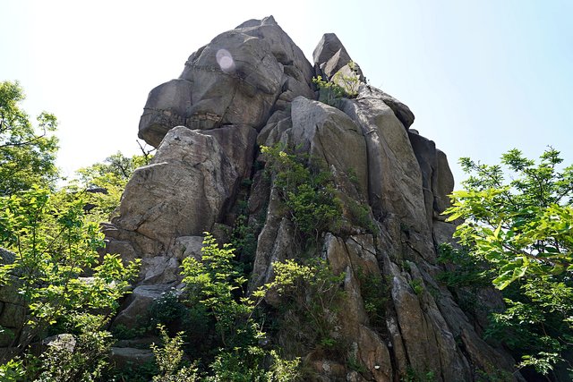 b-DSC04768.JPG