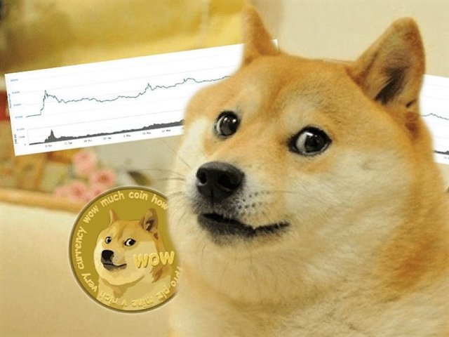 doge.jpg