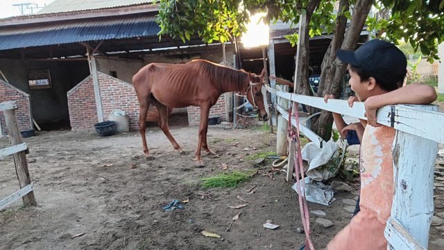 WhatsApp Image 2025-04-16 at 16.38.39.jpeg