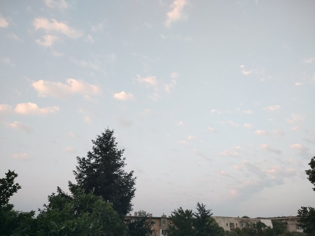 IMG_20250620_060304_HDR.jpg