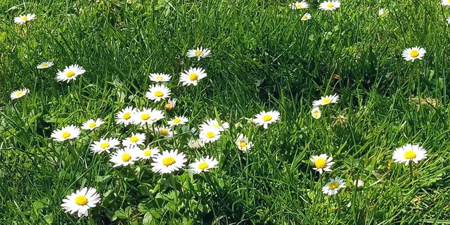 20250412_130944.jpg