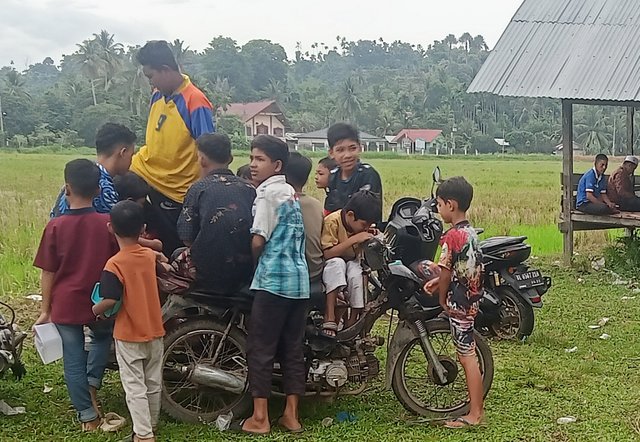 1000270774-01.jpeg