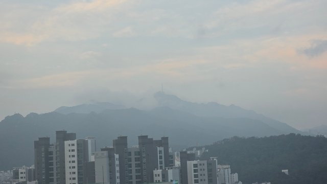 1000140956.jpg