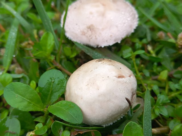 20250414_080449.jpg