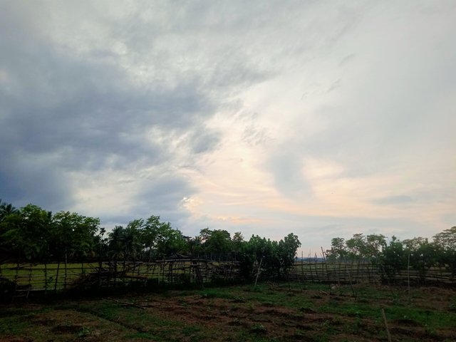 IMG20250826175456.jpg