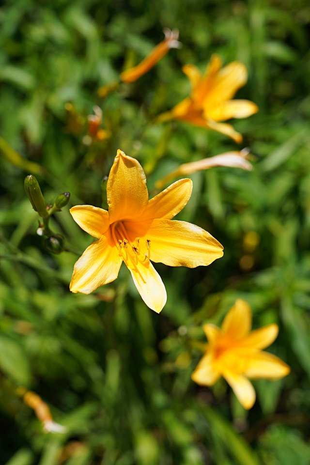 b-DSC08152.JPG