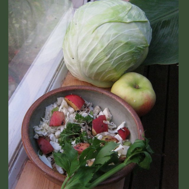 Cabbage Salad with cabbage apple and celery.jpg