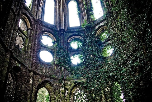Ruined Cathedral BlueGarou.jpg