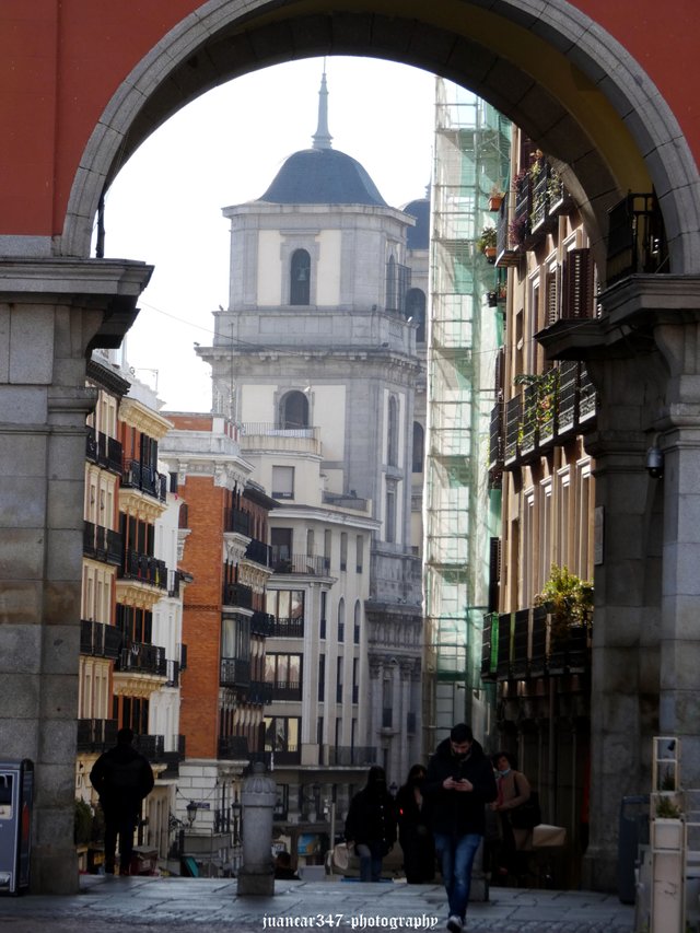 P1160559_acopia.jpg