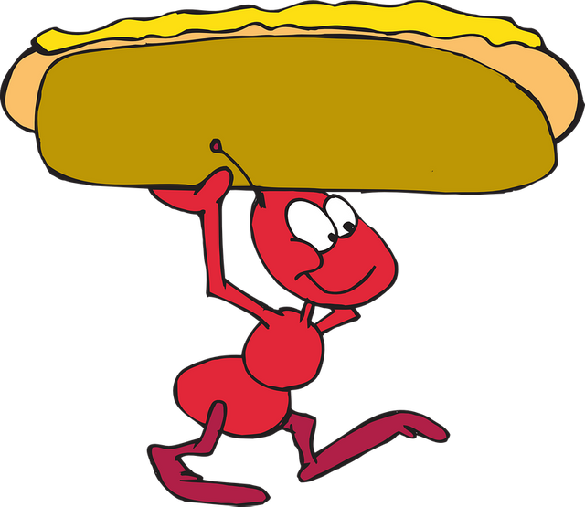 ant-44587_960_720.png