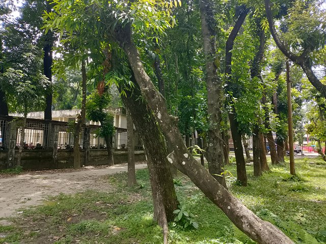 1000044549.jpg
