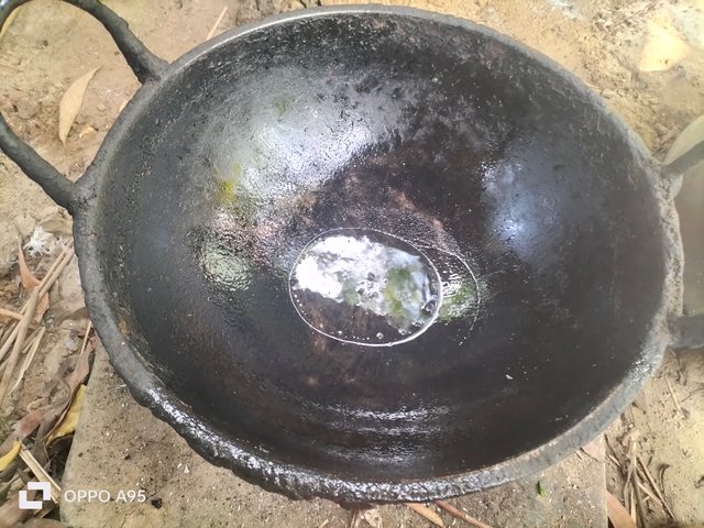 IMG20250613084614.jpg