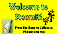 Welcome to Steemit200x119.png