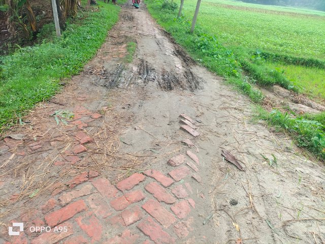 IMG20250531063626.jpg