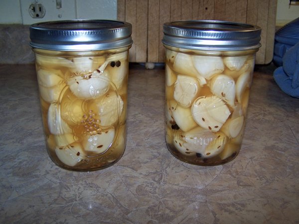 Garlic pickles - finished2 crop July 2018.jpg