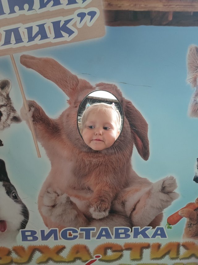 1000324300.jpg