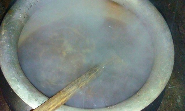 Polish_20201222_110826846.jpg