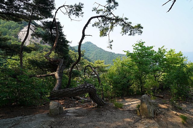 b-DSC01805.JPG