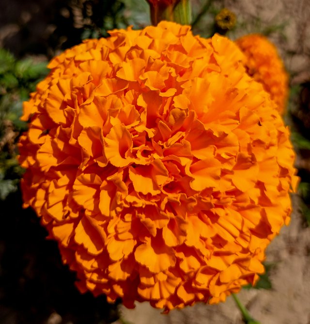 IMG20250119125521.jpg