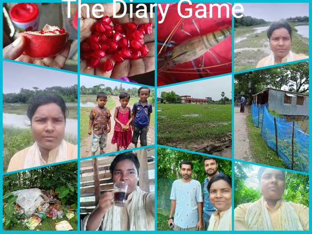 PhotoCollage_1693124273023.jpg