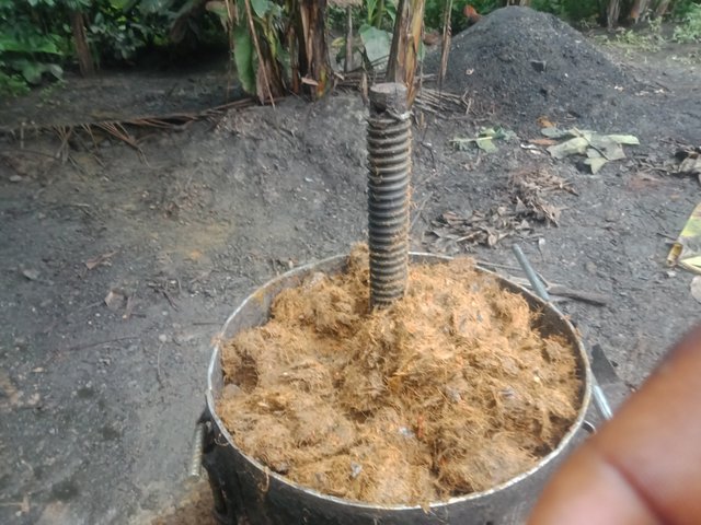 IMG20250727141057.jpg