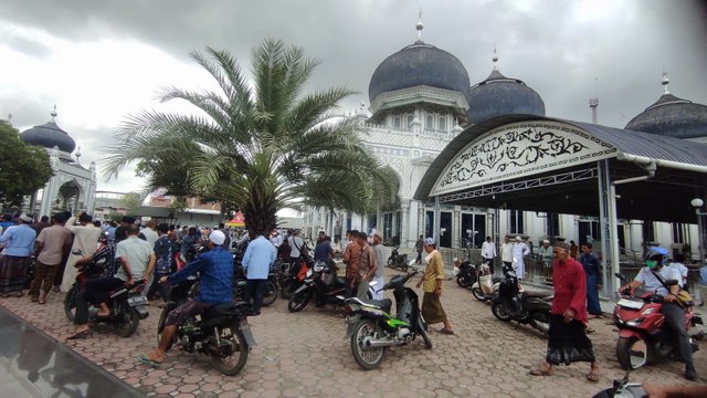 IMG_20250117_133528.jpg