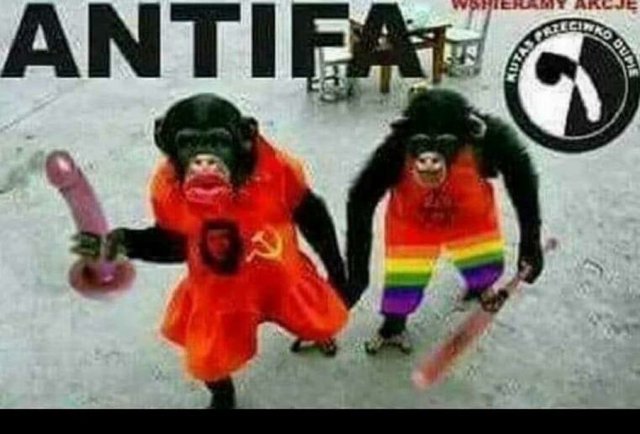 7-29 antifa monkeys.jpeg