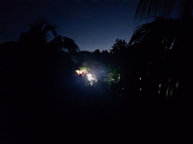1000047216.jpg