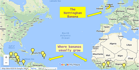 Banana map450.png