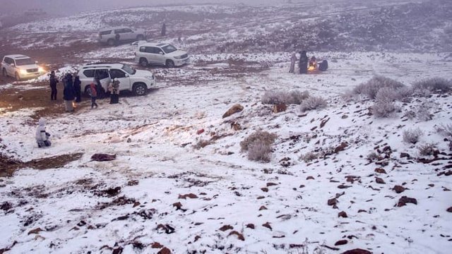 http___cdn.cnn.com_cnnnext_dam_assets_220120114402-06-snow-saudi-arabia.jpg