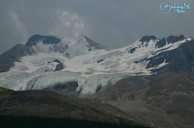 columbia icefields3.jpg