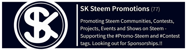 Steemit Steem Blog.jpg