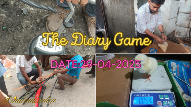 The diary game (1).png