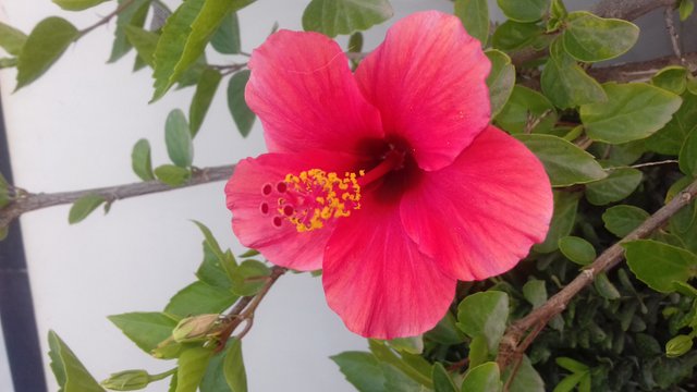 20190726_153147.jpg